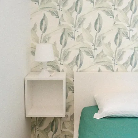 بيت شباب Bay *